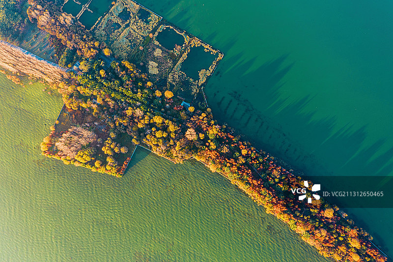 航拍大理洱海海舌生态公园晨曦图片素材
