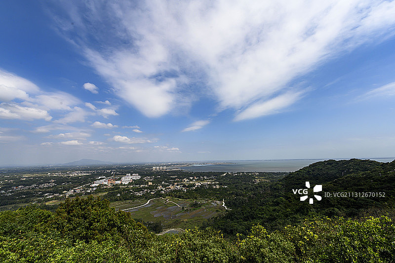 和乐蟹的温床图片素材