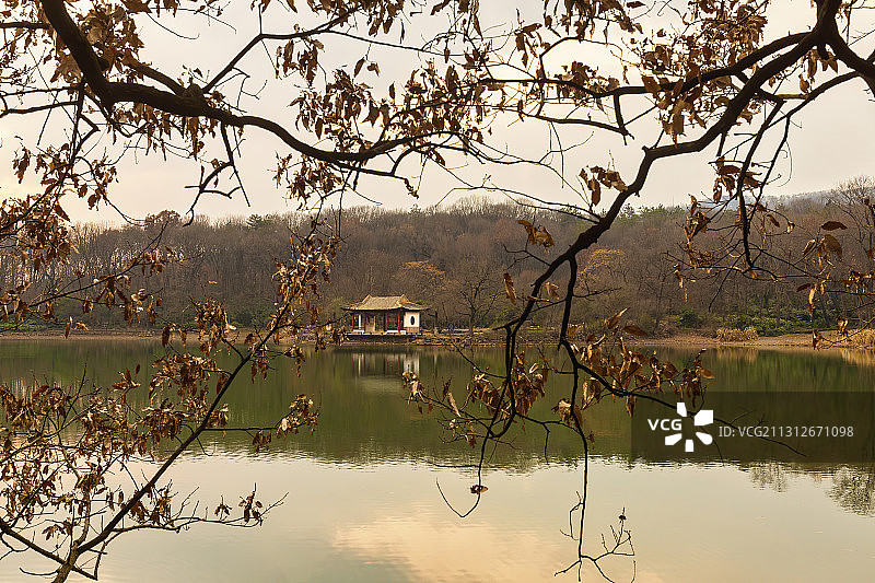 冬日紫霞湖图片素材