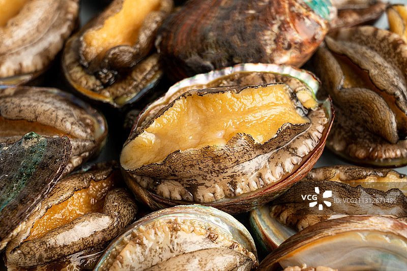 生鲜，水产品，鲍鱼图片素材