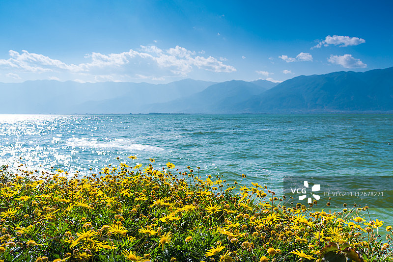 大理洱海风光图片素材