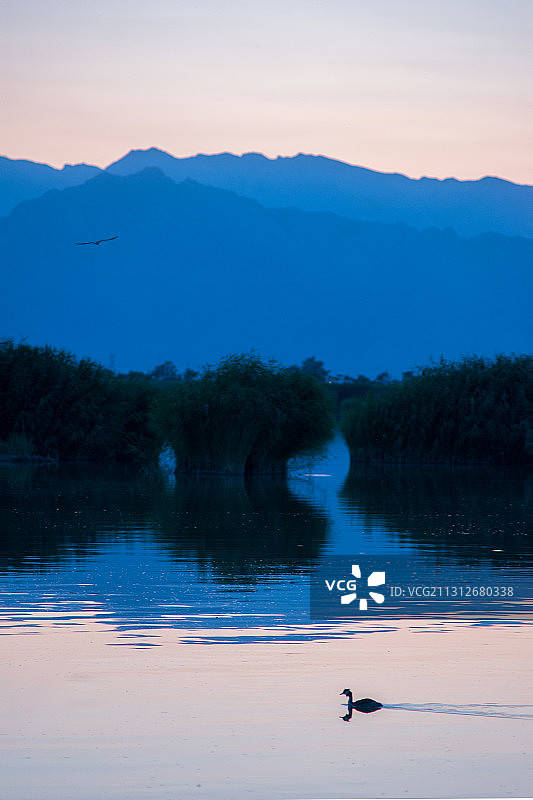 宁夏沙湖傍晚图片素材