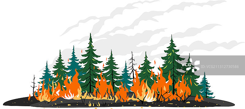 孤立的森林火灾概念图片素材