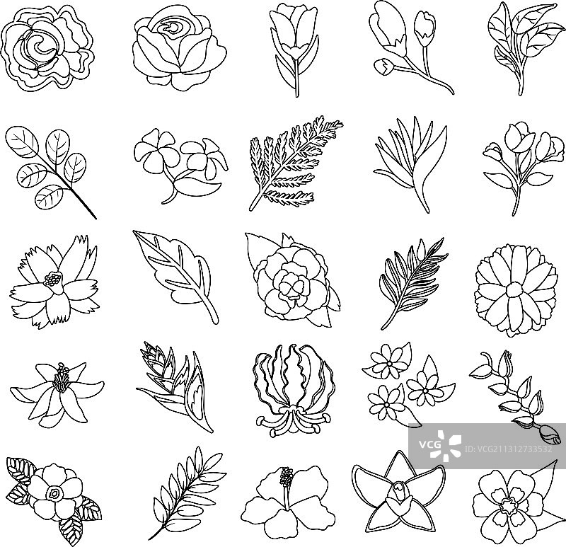 美丽的花卉和树叶图标合集图片素材