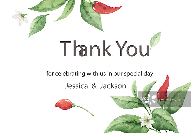 手绘红色辣椒水彩插画图片素材