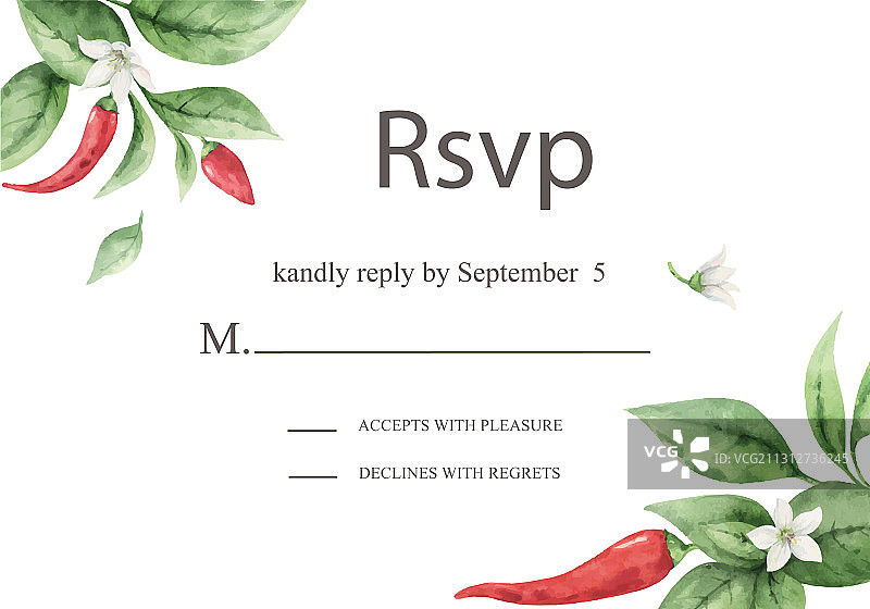 手绘红色辣椒水彩插画图片素材