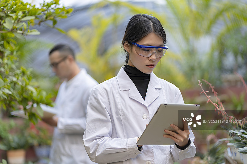 一对年青科研人员在植物园内做实验图片素材