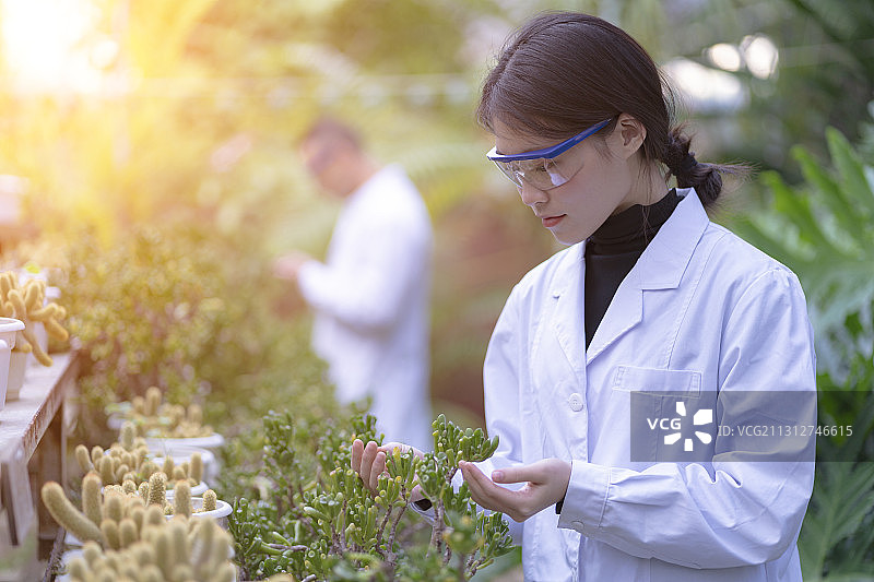 一对年青科研人员在植物园内做实验图片素材