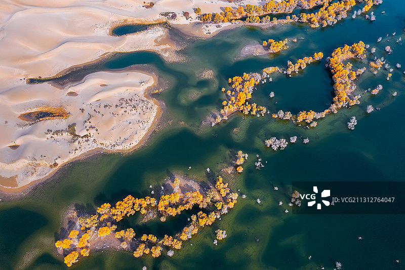 沙漠秋色图片素材