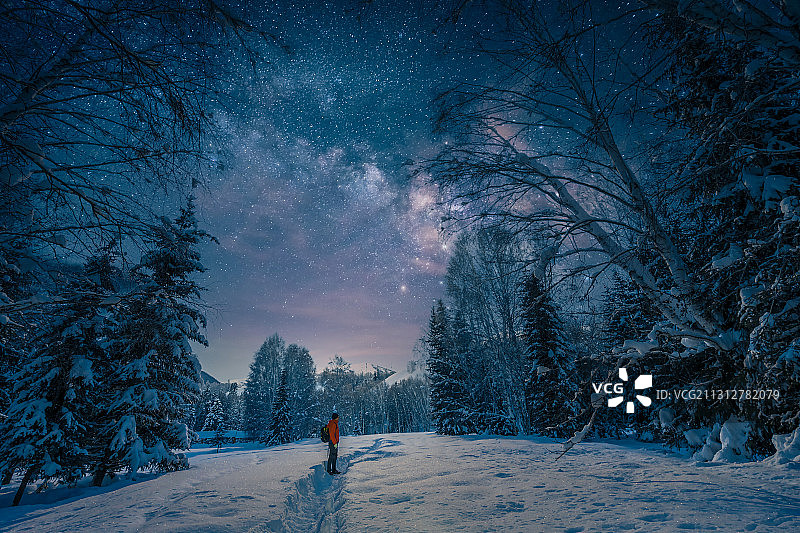 新疆禾木村森林的夜晚图片素材