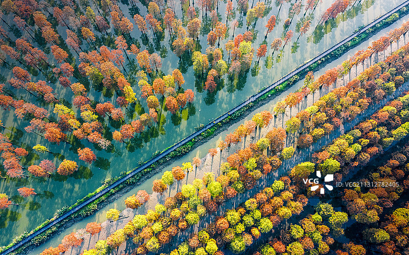 涨渡湖秋色图片素材