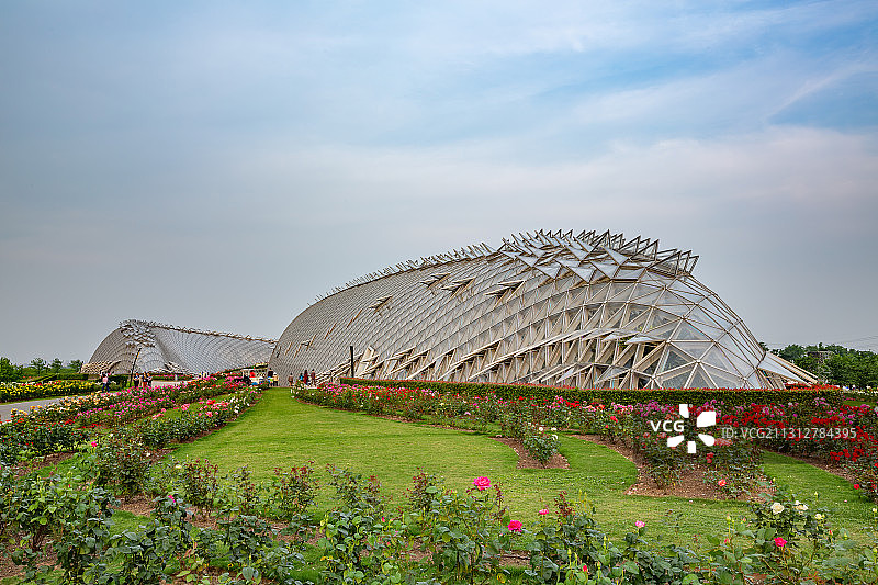 辰山植物园图片素材