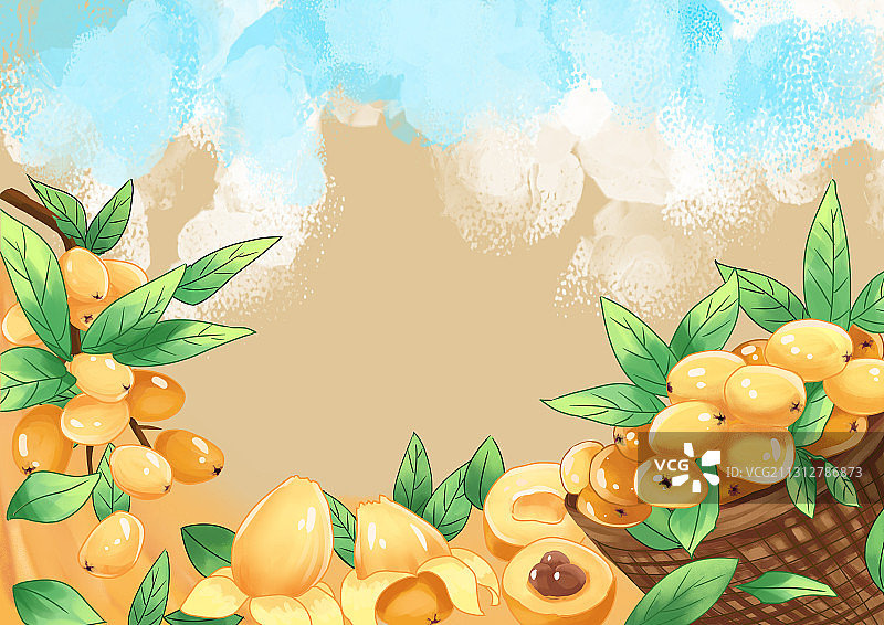 丰收枇杷插画图片素材