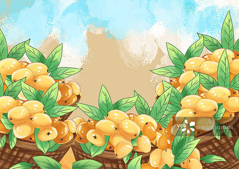 丰收枇杷图片素材