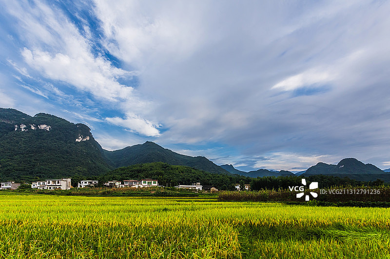 丰收在望图片素材
