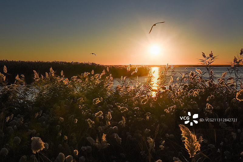 居延海日出图片素材