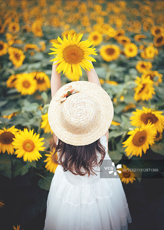 在花海里举起一朵向日葵的小女孩图片素材
