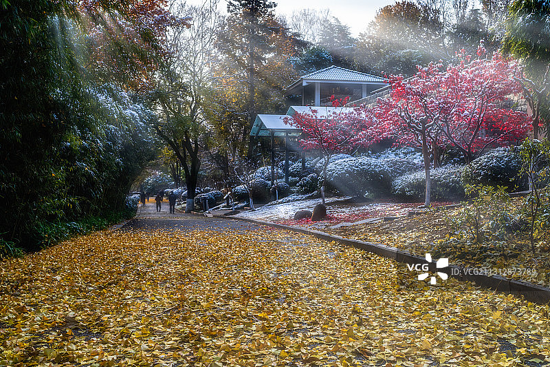 南京清凉山雪后初晴景色图片素材