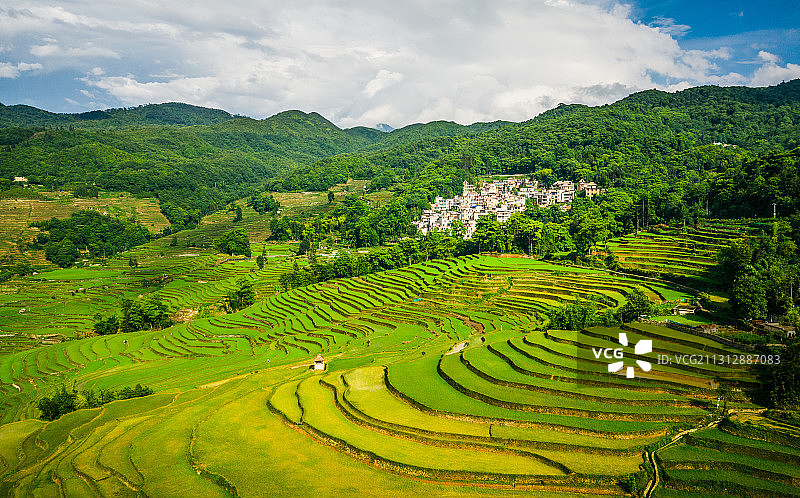 中国云南红河州元阳县哈尼梯田风光图片素材
