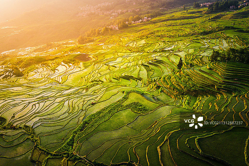 中国云南红河州元阳梯田黎明自然风光航拍图片素材