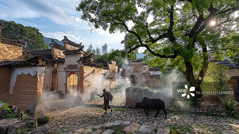 浙江丽水后宅村：大山深处的一幅美丽画卷图片素材
