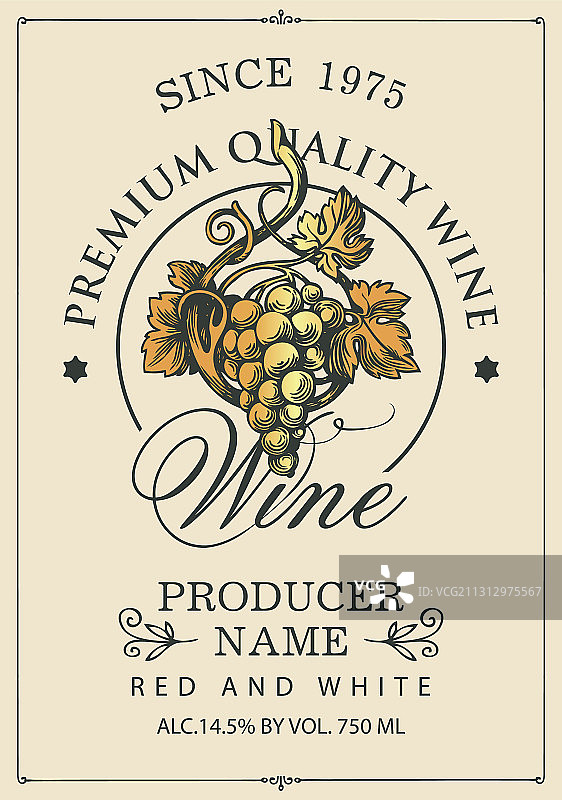 手绘葡萄串葡萄酒标签图片素材