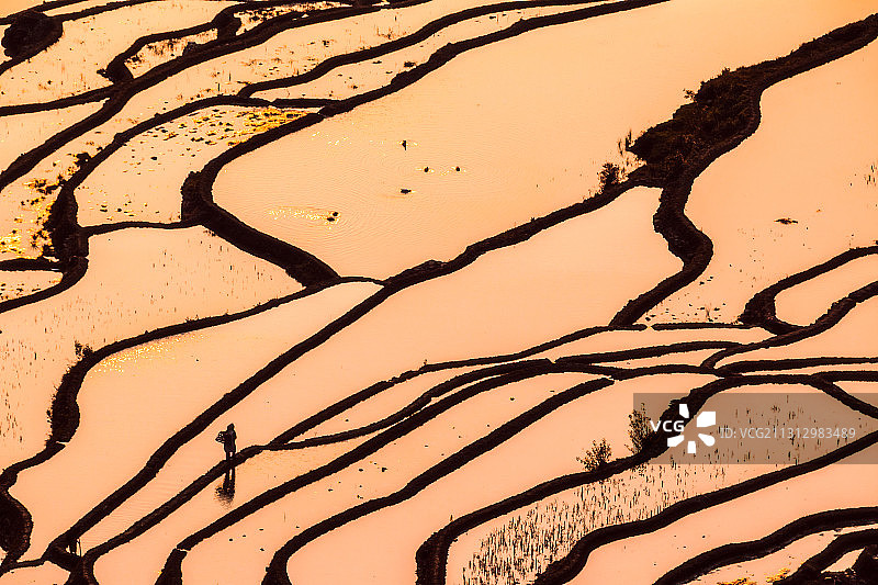 云南红河哈尼元阳梯田风光图片素材