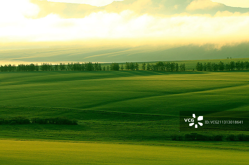 呼伦贝尔绿色原野农田图片素材
