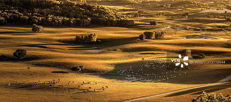 金秋内蒙古坝上美如画 克什克腾旗迎最美秋天图片素材