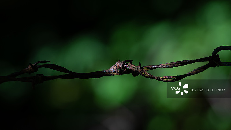 英国铁丝网特写图片素材