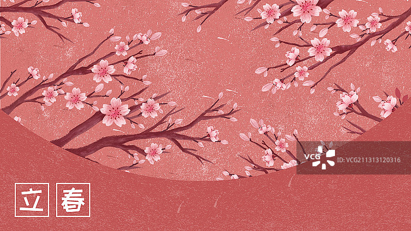 二十四节气立春梅花背景图图片素材