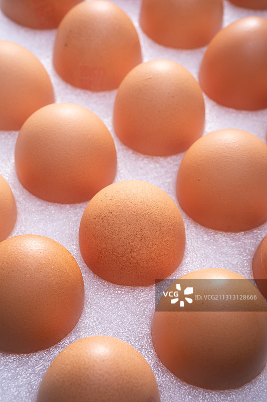 放在珍珠棉包装盒内的鸡蛋图片素材