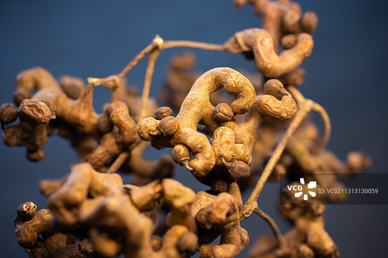 一串拐枣特写图片素材