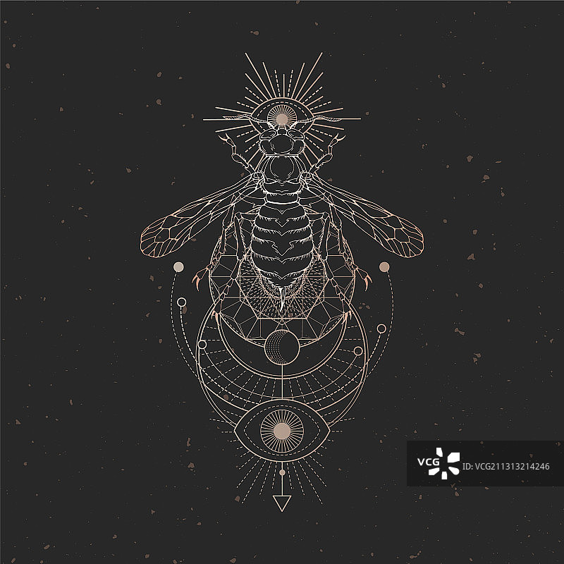 圣诞装饰品特写图片素材