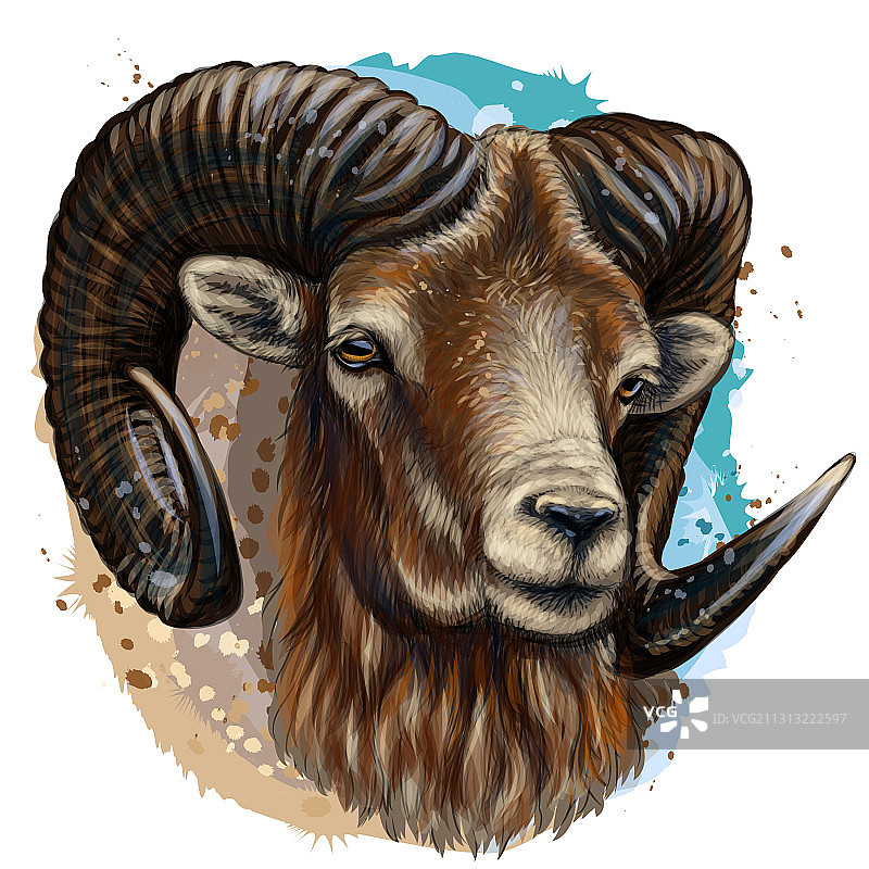 山羊艺术彩色手绘肖像图片素材