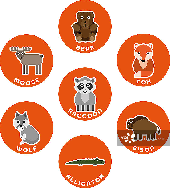 北美野生动物合集7图片素材