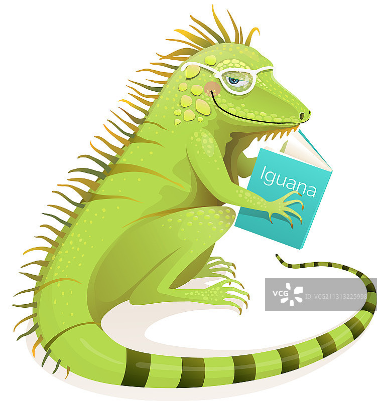 学习读书的鬣蜥儿童设计图片素材