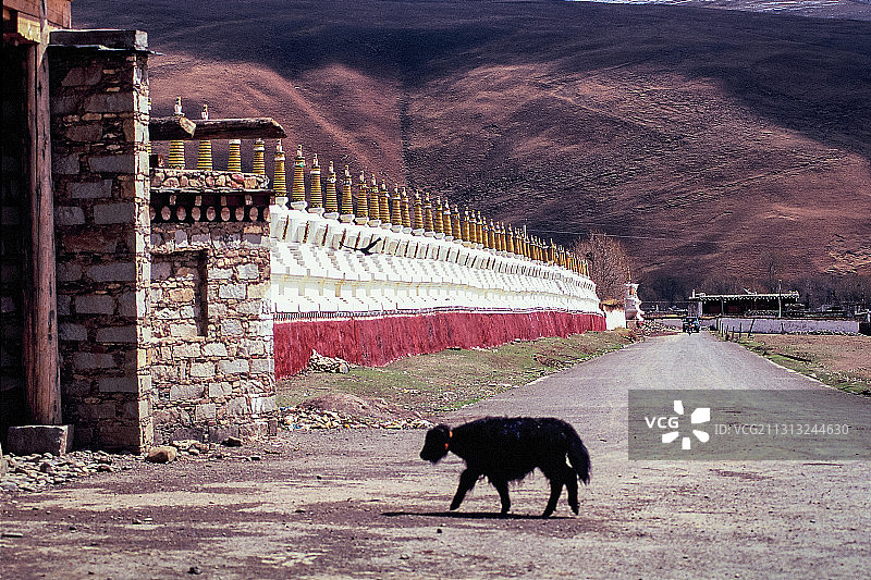 惠远寺，2009图片素材