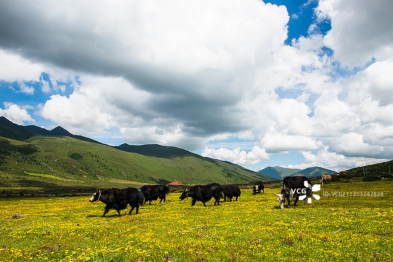 康定-木雅圣地景区图片素材