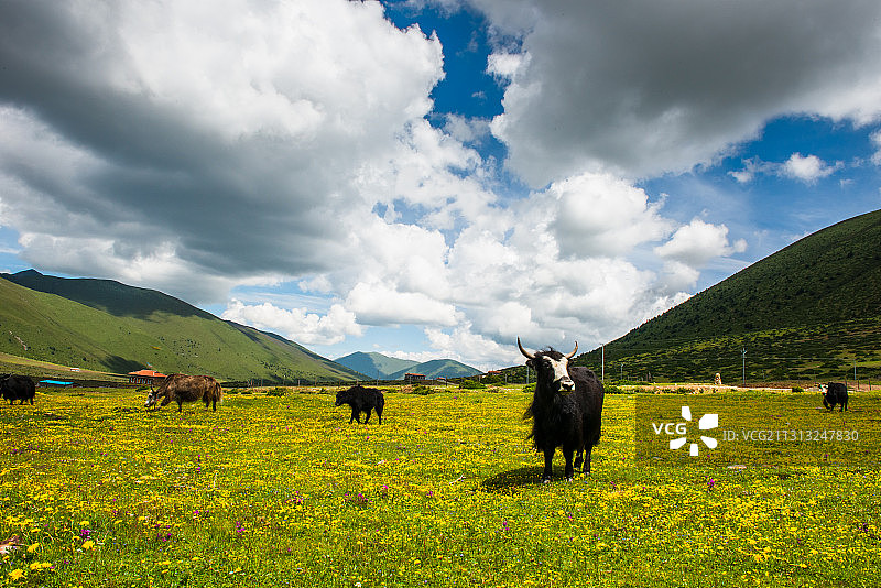 康定-木雅圣地景区图片素材