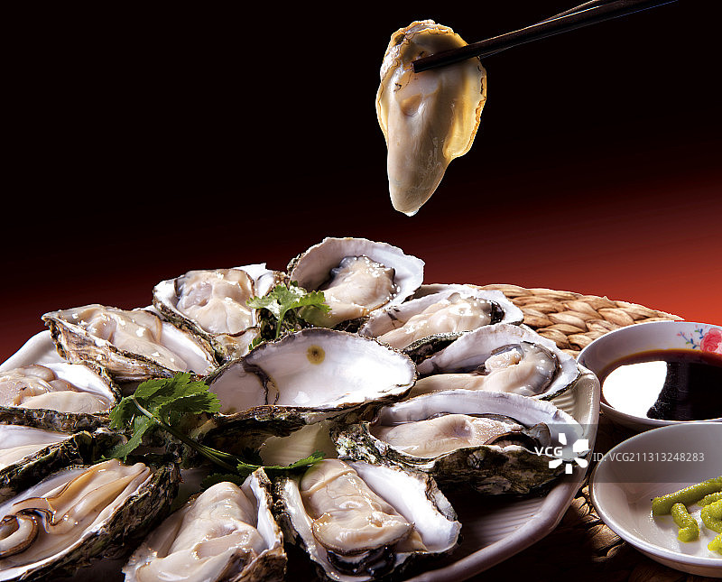 湛江生蚝图片素材