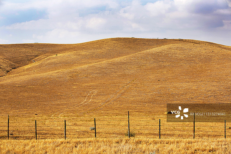 美国加利福尼亚州特哈查比山口附近的干旱情况图片素材