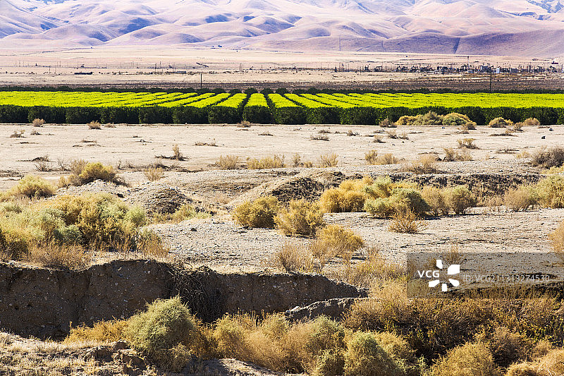 灌溉农田与干旱土地的对比图片素材