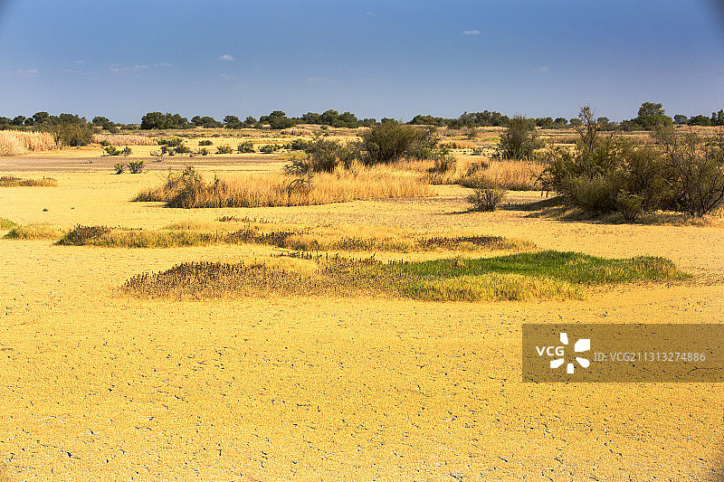 加利福尼亚中央谷地克恩河谷野生动物保护区旱情图片素材