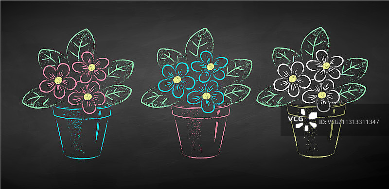 粉笔画盆栽花卉图片素材