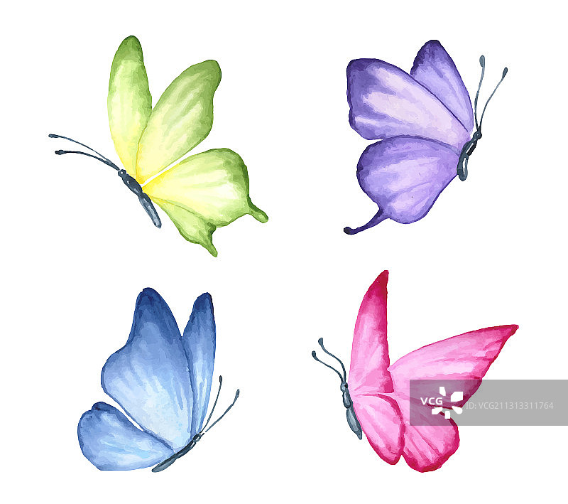 各种蝴蝶收藏集图片素材