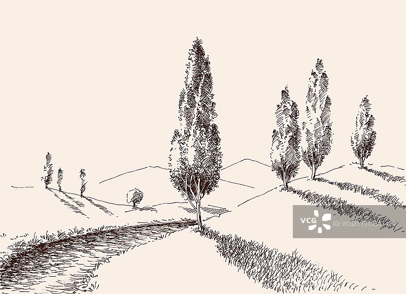 自然山丘与白杨树风景中的小路图片素材