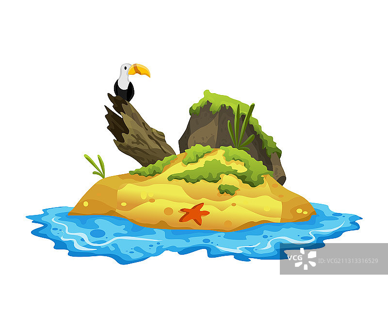 带有秃鹫的热带岛屿海岸图片素材