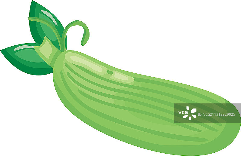 西葫芦健康蔬菜细节风格图标图片素材