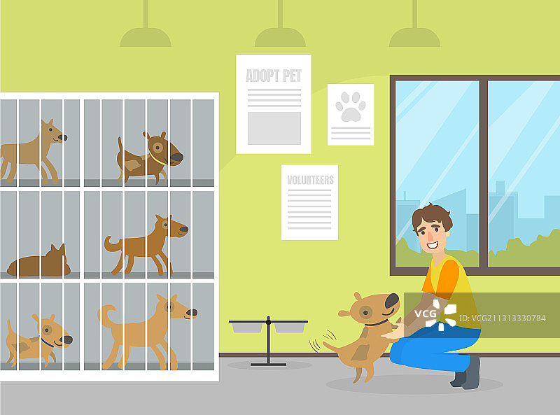 动物收容所与笼子里的狗及男性志愿者图片素材